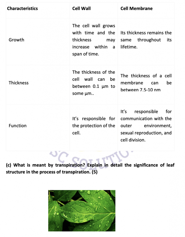 CSS Solved General Science and Ability Paper 2021 2